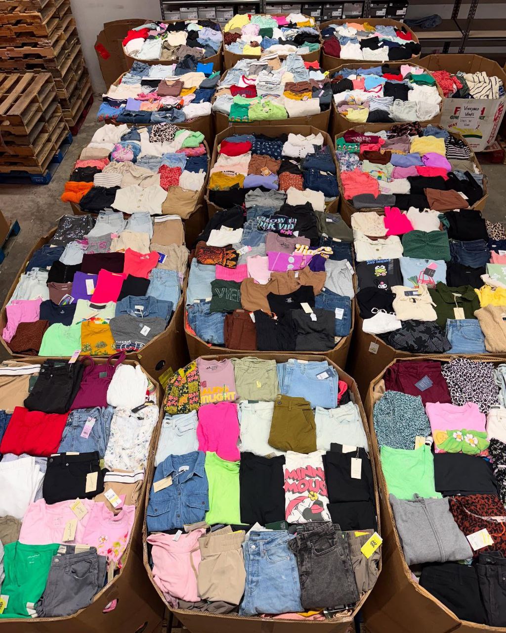 photo_2025-02-23_01-19-18